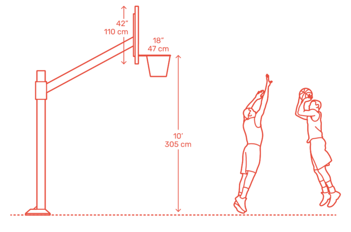 Height Of a Basketball Hoop Height Of a Basketball Hoop