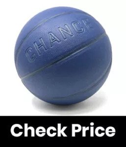 Chance Premium Indoor Outdoor Basketball