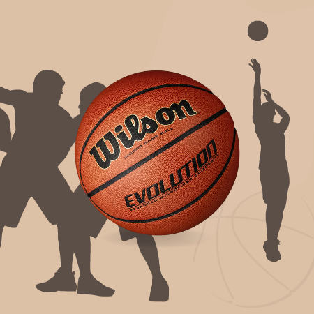 Wilson Evolution Game Basketball