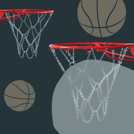 Champro Basketball Net